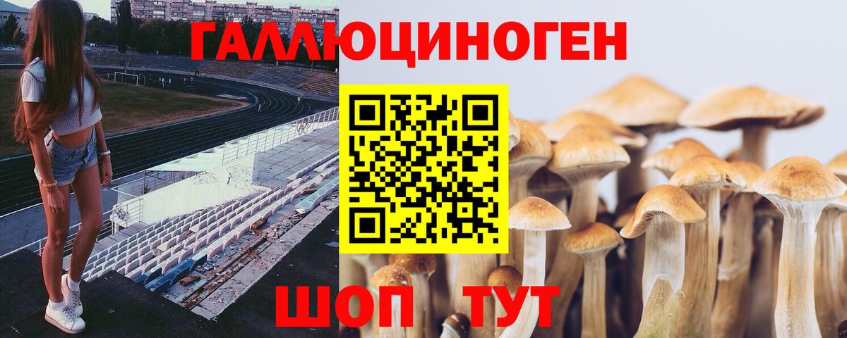 Галлюциногенные грибы Magic Shrooms Бор