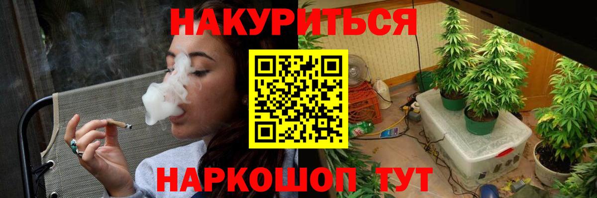 Бор  Конопля план  Вход с VPN  МАРИХУАНА SATIVA & INDICA 
